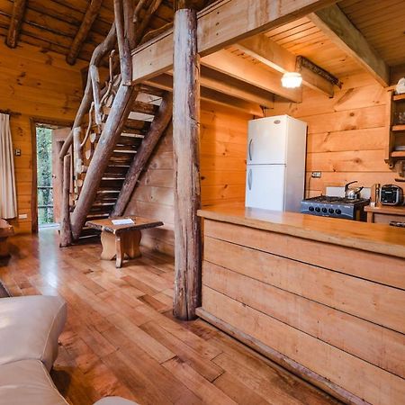 Huilo Huilo Cabanas Del Bosque Puerto Fuy Bagian luar foto