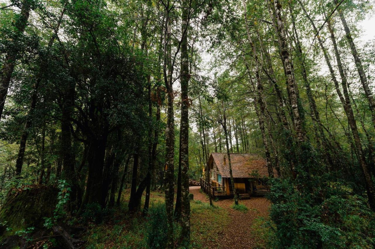 Huilo Huilo Cabanas Del Bosque Puerto Fuy Ruang foto