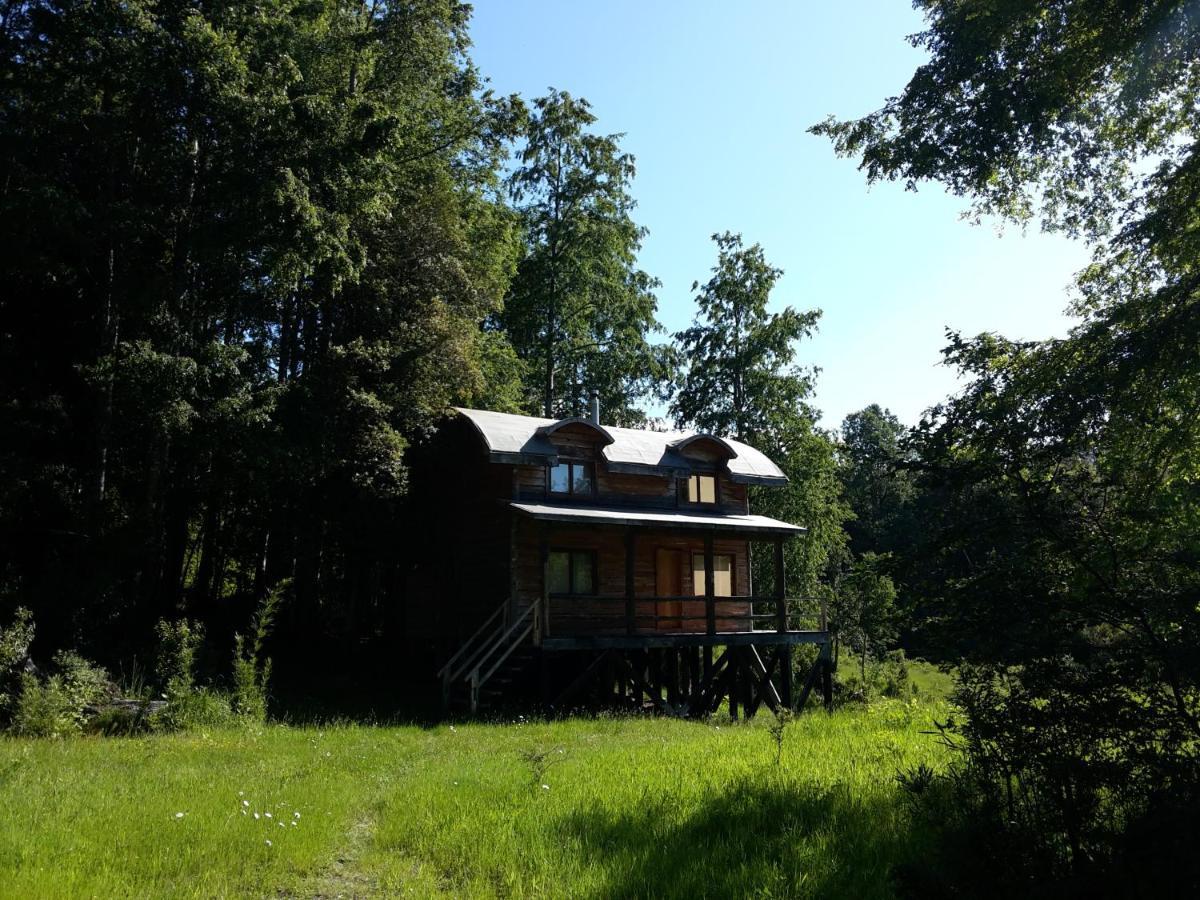 Huilo Huilo Cabanas Del Bosque Puerto Fuy Bagian luar foto