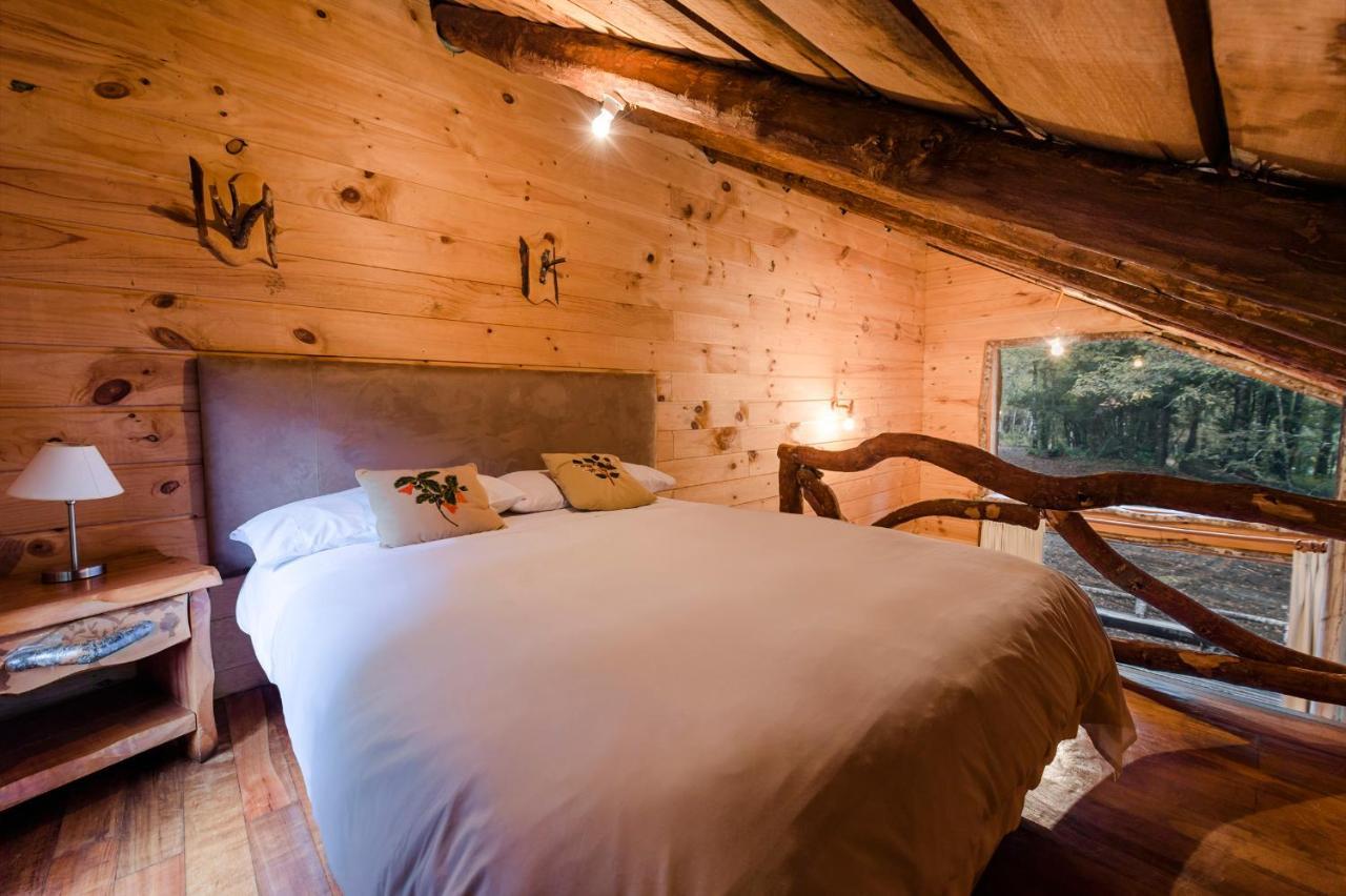 Huilo Huilo Cabanas Del Bosque Puerto Fuy Ruang foto